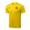 Borussia Dortmund Soccer Polo Jersey Replica Yellow II Mens 2021/22