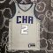 Charlotte Hornets Swingman Jersey - City Edition Brand Grey 2019/20 Mens (BALL #2)