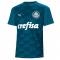 2020/21 SE Palmeiras Goalkeeper Blue Mens Soccer Jersey Replica