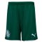 Palmeiras 2021/22 Away Soccer Shorts Mens